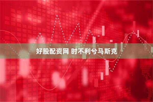 好股配资网 时不利兮马斯克