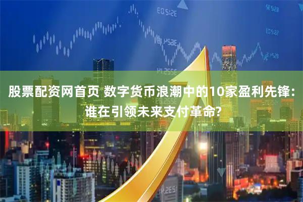 股票配资网首页 数字货币浪潮中的10家盈利先锋: 谁在引领未来支付革命?